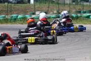 20110501_ales_agnus (2619)